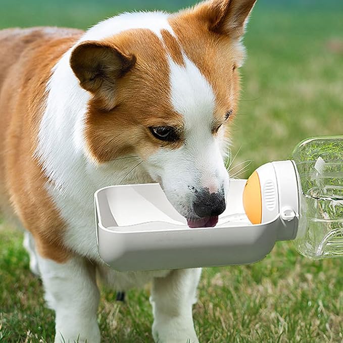 FurJoyCo - Pet Drink Bottle Water