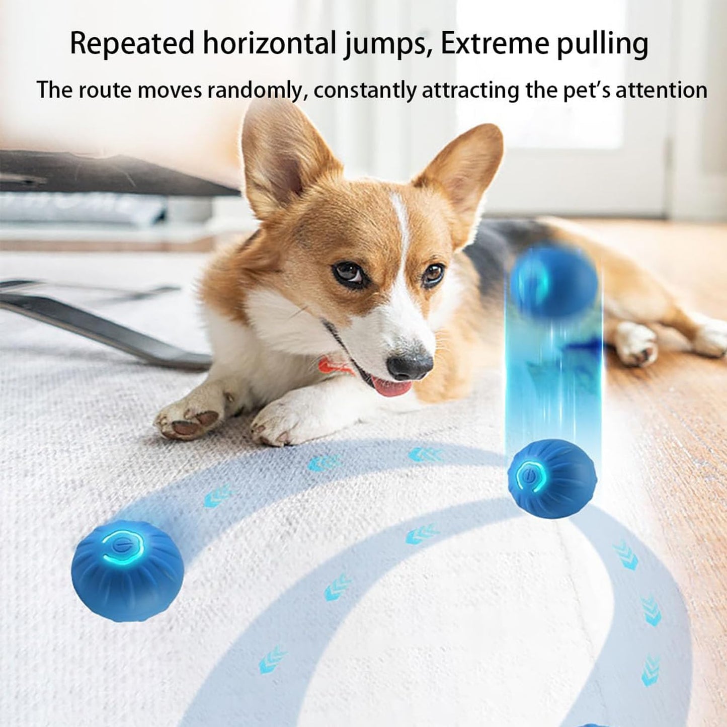 Interactive Pet Ball