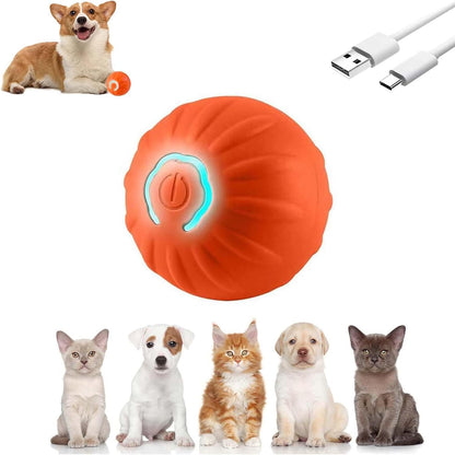 Interactive Pet Ball