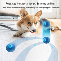 FurJoyCo - Interactive Pet Ball