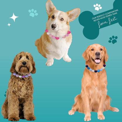 FurJoyCo - Matching Friendship Collar Set