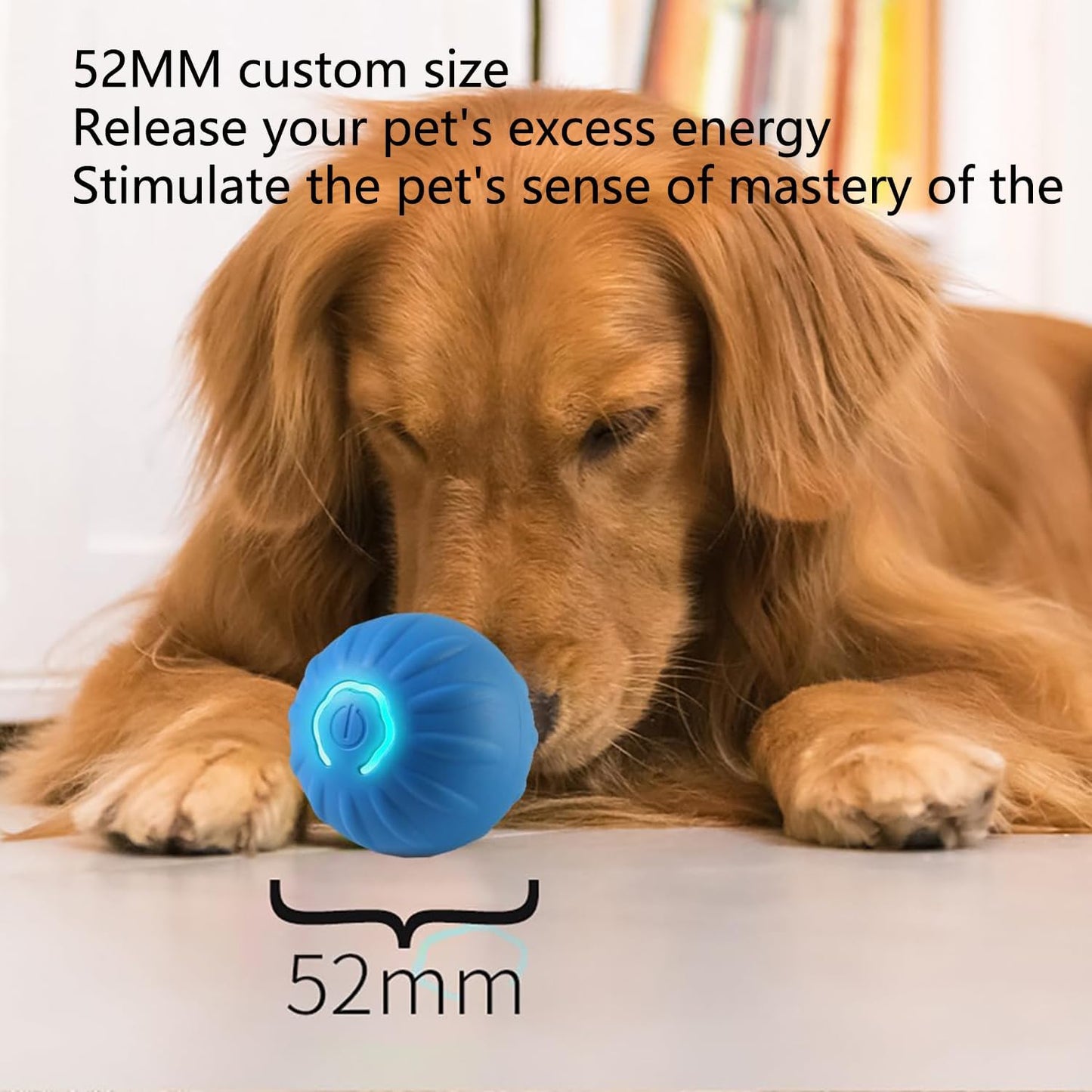 Interactive Pet Ball