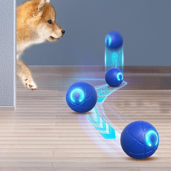 FurJoyCo - Interactive Pet Ball