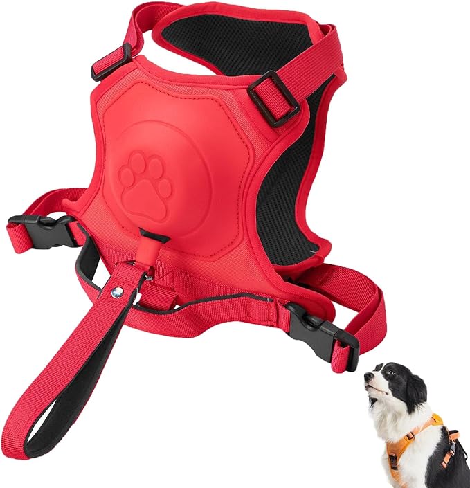 FurJoyCo - Dog Harness and Retractable Leash